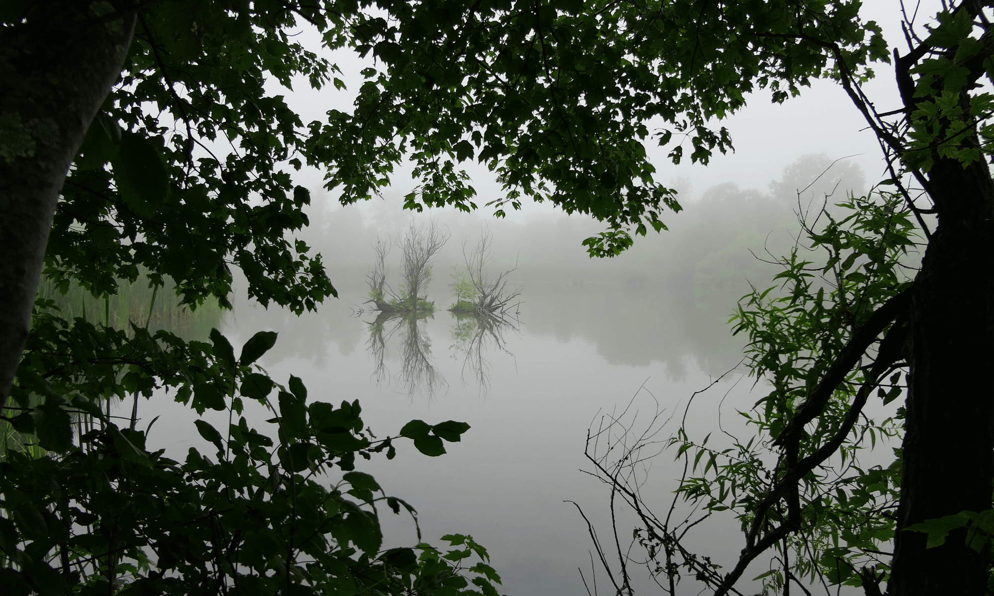 portal in the fog